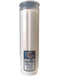 Wkład do Zniczy Olejowy Ignis (czas palenia ~ 75 h) (17,5 x 5 cm) 1 szt