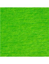 Bibuła Kolor Jasno Zielony 1 szt