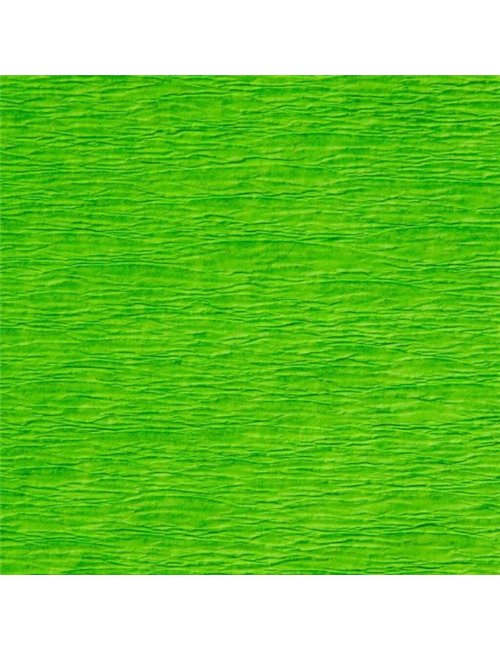 Bibuła Kolor Jasno Zielony 1 szt