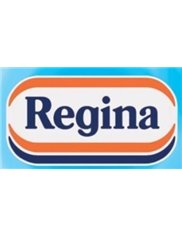 Regina Ręcznik Papierowy z Dekoracjami 2-warstwowy (2 rolki)