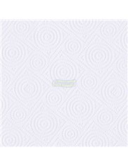 Regina Ręcznik Papierowy Najdłuższy 2-warstwowy Biały Celuloza (2 rolki)